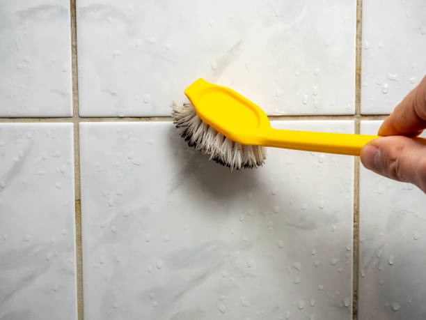 Best Residential Mold Removal  in Hermitage, PA