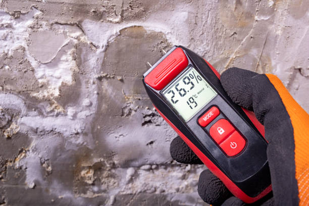 Best Affordable Mold Removal  in Hermitage, PA