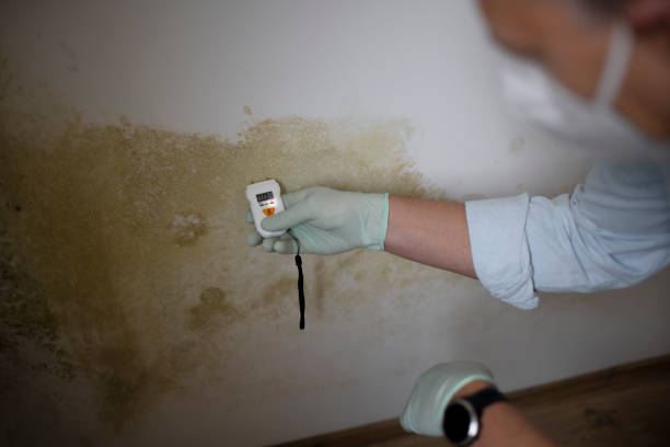 Best Water Damage Restoration  in Hermitage, PA
