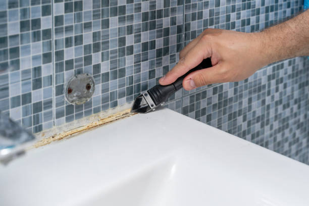 Best Mold Testing  in Hermitage, PA