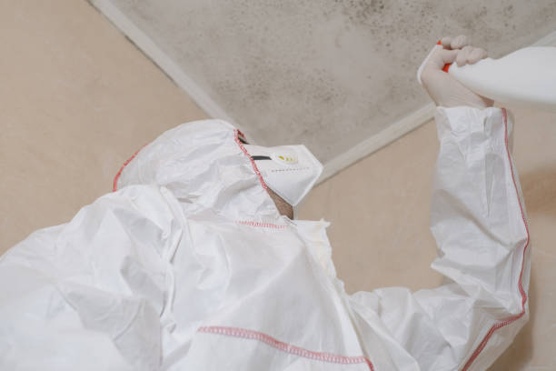 Water Damage Restoration in Hermitage, PA