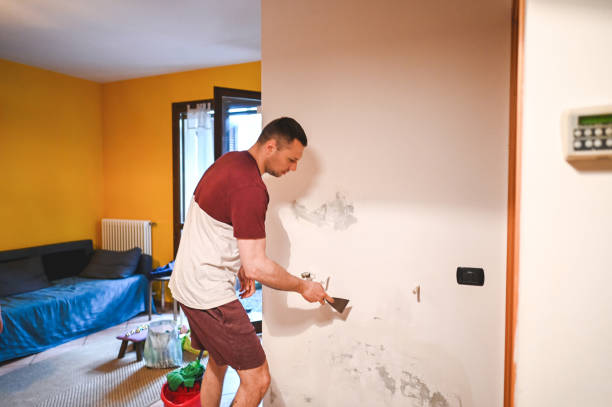 Best Professional Mold Removal  in Hermitage, PA